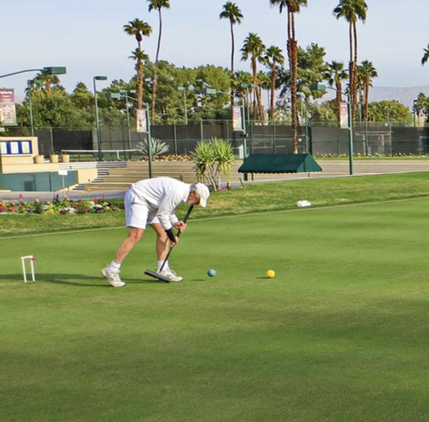 A member in whites lining up a shot at the wicket