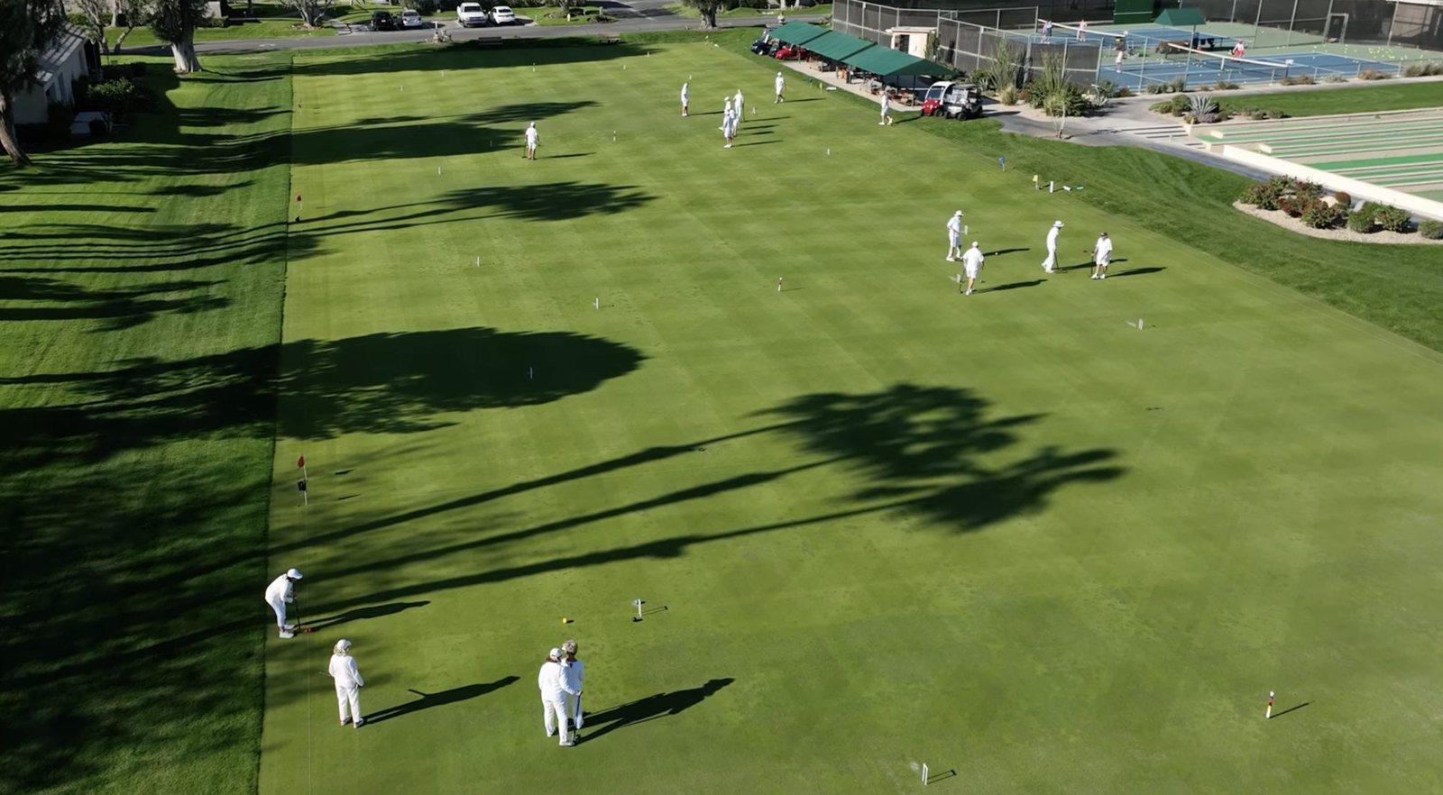Players in whites, from above
