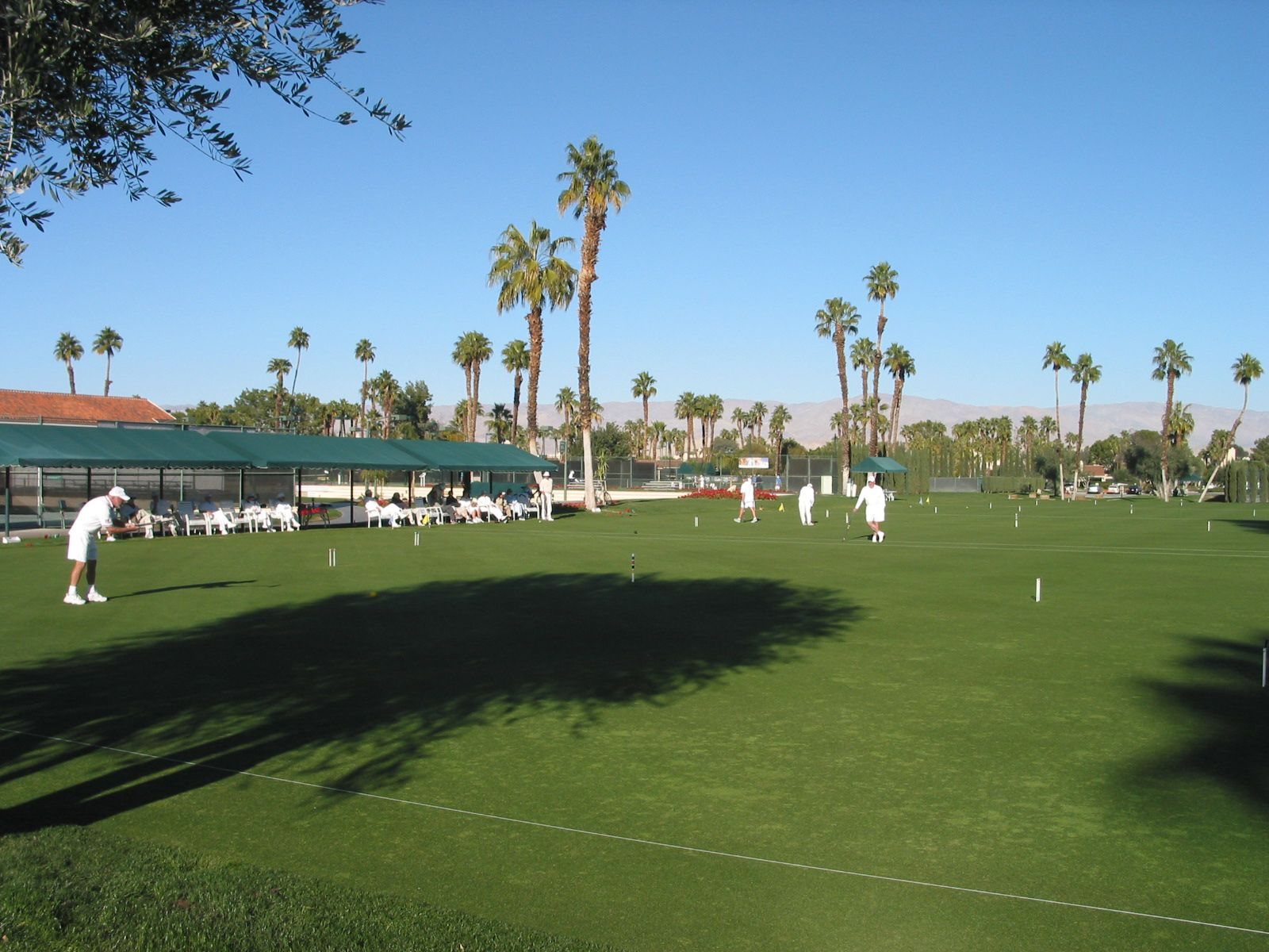 A full house under the palms