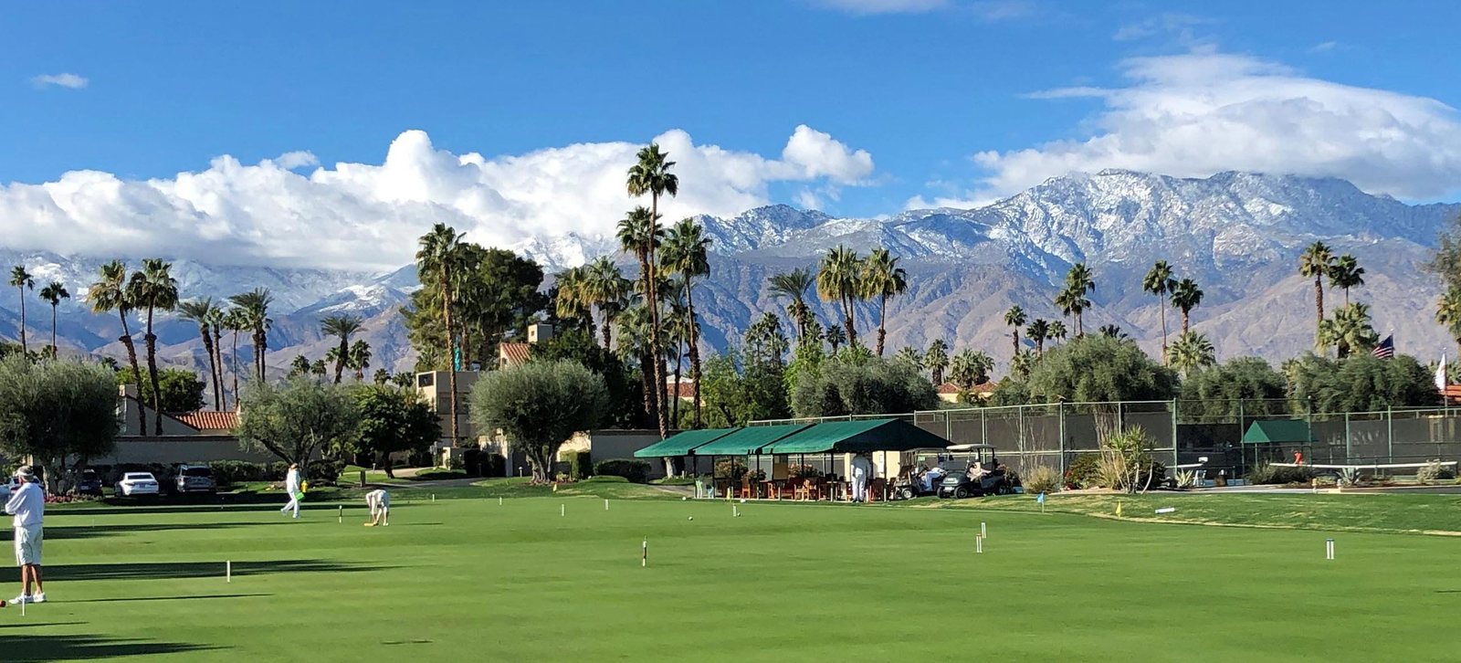 Snowcaps over the lawns