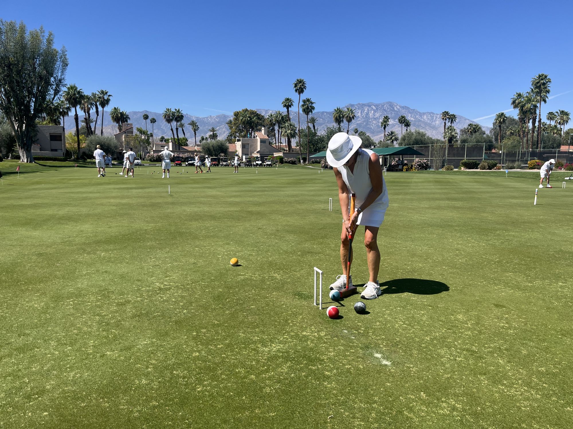 A player lining up a shot at the wicket