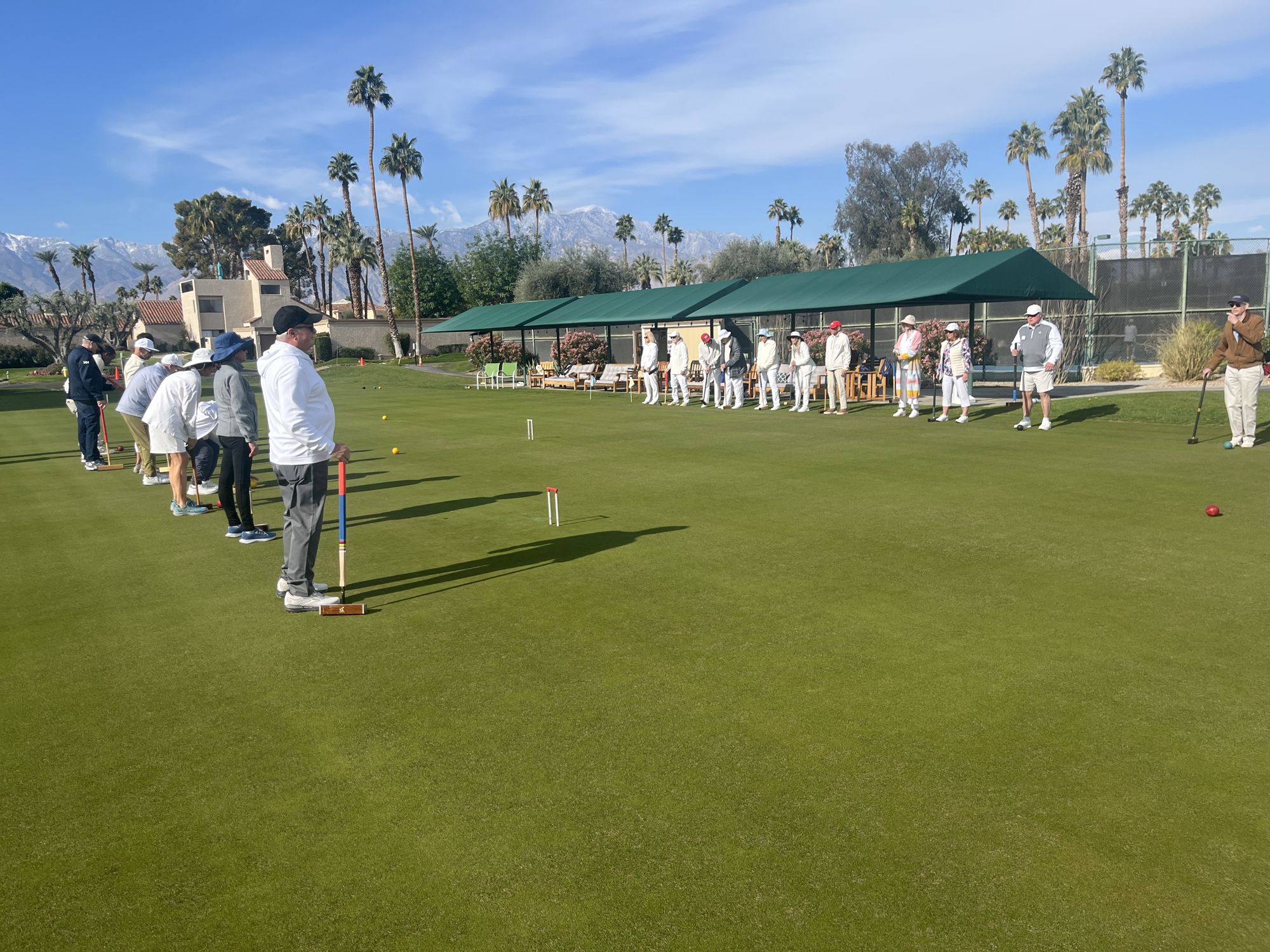 New Player School